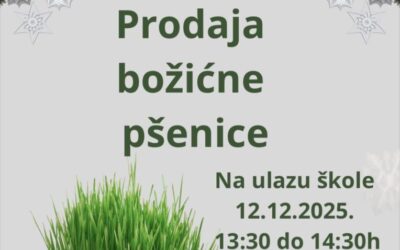 Prodaja božićne pšenice